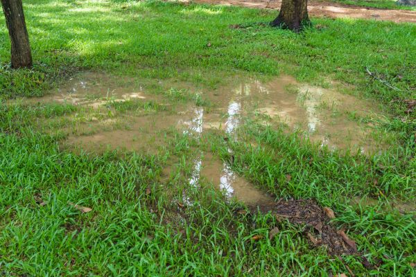 Storm Water Drainage Service in Lewisville