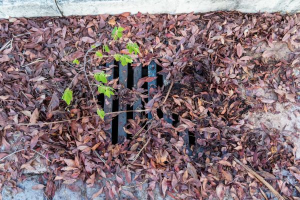 Yard Drain Unclogging in Lewisville