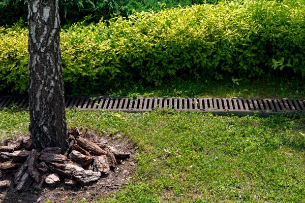 Wet Yard Drainage in Lewisville