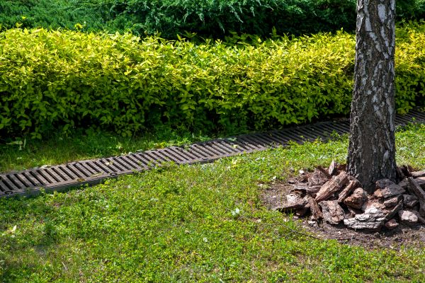 Residential Landscape Drainage in Lewisville