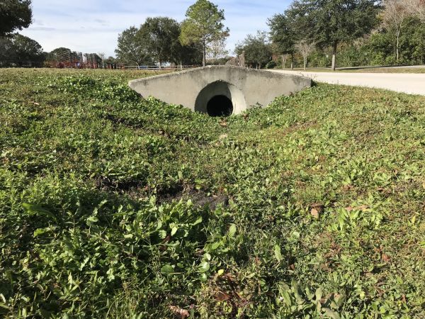 Cost of Swale Drainage Service in Lewisville